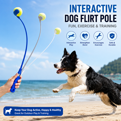 Interactive Dog Flirt Pole Toy with Ball – Pet Training Exercise Teaser Wand