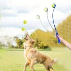 Interactive Dog Flirt Pole Toy with Ball – Pet Training Exercise Teaser Wand