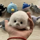 Cute Baby Seal Plush Toys, 12cm Realistic White Ocean Animal Stuffed