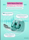 Hatsune Miku CUBE FACE LCD Touchscreen Wireless Bluetooth Earbuds – Cute Anime TWS Earphones with Interactive Display