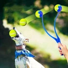 Interactive Dog Flirt Pole Toy with Ball – Pet Training Exercise Teaser Wand