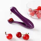 Cherry Pit Remover Olive Pitter Seed Corer Tool Kitchen Fruit Gadget