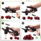 Cherry Pitter & Stone Remover – Manual Handheld Cherry Seed Extractor