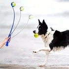Interactive Dog Flirt Pole Toy with Ball – Pet Training Exercise Teaser Wand