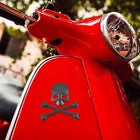 Skull Face Mask with Crossed Bone Accessories – Halloween Costume Party Novelty Prop for Cosplay, Dress-Up & Decorations