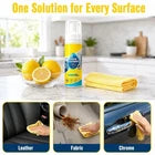 Share 4-in-1 Multi-Enzyme Foam Cleaner, All-Purpose Spray 5oz with Sponge & Towel