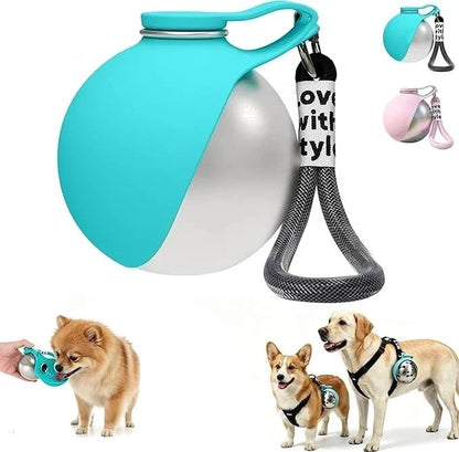 2-in-1 Portable Dog Water Bottle – Stainless Steel Travel Pet Water Dispenser with Silicone Bowl